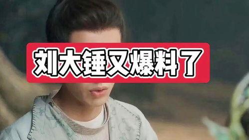 爆料娱乐圈的博主大锤小说,揭秘大锤小说中的幕后真相