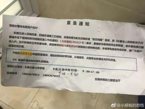 吉视传媒最新爆料,揭秘行业背后惊人内幕！