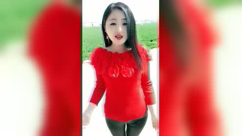 娱乐圈那些事儿大爆料,那些事儿背后的真相与内幕